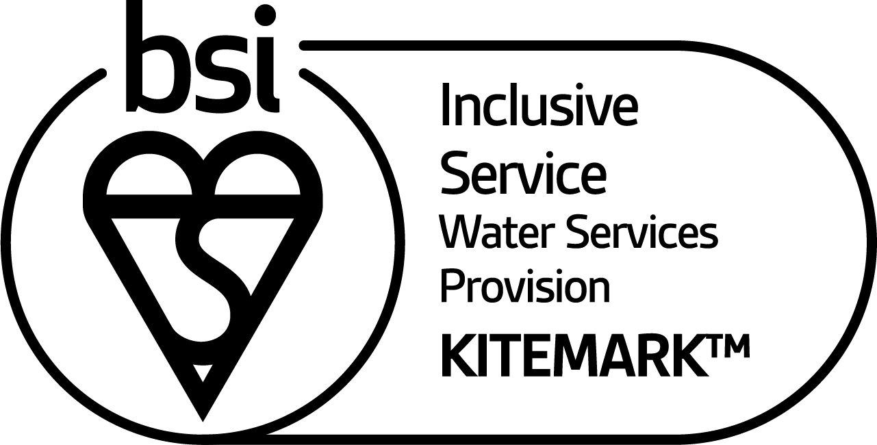 BSI Inclusive Service
